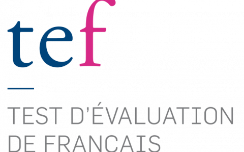 Logo-TEF
