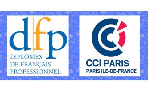 Logo_DFP_CCI_Paris_Ile_de_France (1)